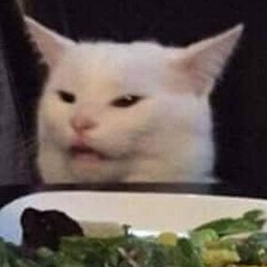 Meet your Posher, Annette